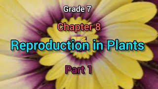 Reproduction in Plants  Grade 7  Chapter 8  Part 1  NCERT reproductioninplants science cbse [upl. by Rafaelle491]