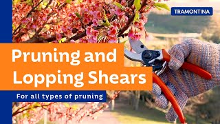 Discover the pruning and lopping shears  Tramontina [upl. by Bledsoe]