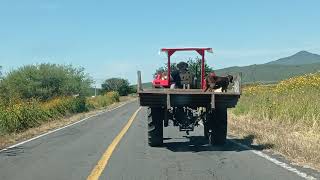 Recorrido desde Chavinda al Cerrito Colorado Michoacán Cotidiano399 [upl. by Harley]