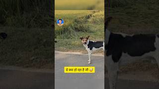 Tu Kaun Hai Be  Sab LOol Hai funny sabloolhai animal [upl. by Rahcir]