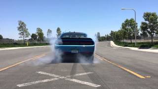 Challenger SRT 392 Scat Pack Shaker Burnout [upl. by Acinomed930]