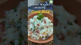 The Correct Way to Make Curd Rice South Indian Comfort Food l Traditional Method l Travel food [upl. by Naloc]