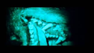 The Descent  Bande annonce VF extension [upl. by Avle]