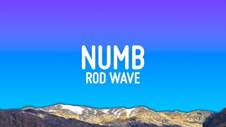 Rod Wave  Numb Lyrics [upl. by Esej]