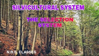 THE SELECTION SYSTEM SILVICULTURAL SYSTEMS Forestry Naturalresources [upl. by Salb]