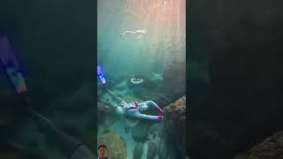 underwater snorkeling mermaid travel youtube youtubeshorts shorts [upl. by Gleeson]