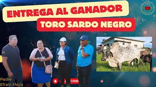 🎉 ¡ENTREGA de premio TORO SARDO NEGRO al GANADOR 🥳 Padre Efraín Mejía [upl. by Ihcas697]