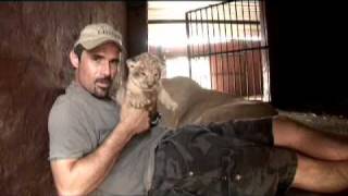 Kevin Richardson a very special Lioness amp her Cubs [upl. by Monarski]