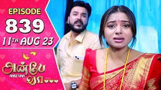 Anbe Vaa Serial Episode 839  11th Aug 2023  Virat  Delna Davis  Saregama TV Shows Tamil [upl. by Bez]