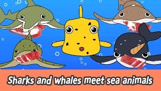 EN Sharks and whales meet sea animals lets enjoy together sea animals names for kidsㅣCoCosToy [upl. by Katerina]