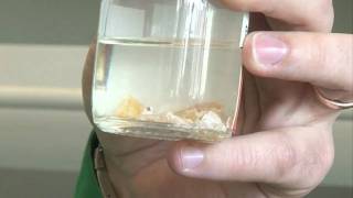 White Phosphorus amp Phosphorus Pentoxide  Periodic Table of Videos [upl. by Atiuqram948]