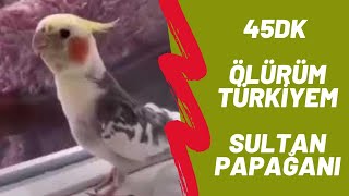 Sultan Papağanı Ölürüm Türkiyem 45 Dk Reklamsız uzunluğunda [upl. by Nodnarbal515]