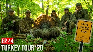 MINNESOTA TURKEY HUNTING  TWO Public Land Gobblers DOWN [upl. by Merkle]