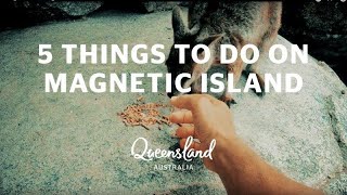 5 things to do on Queenslands Magnetic Island [upl. by Airamak]