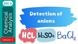 Detection of anions [upl. by Herta]