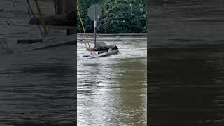 French Broad River becomes a lake covering amp closing all roads in Hendo NC Helene’s wrath [upl. by Faria]