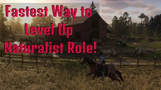 Fastest Way to Level Up  Naturalist Role  Guide  Red Dead Redemption II  Online [upl. by Nylanaj677]