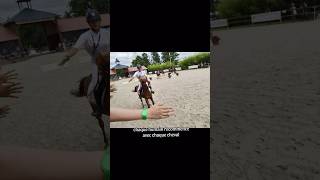 Tiktok  jujuequilvltt equitation lvltt chevaux [upl. by Cooperstein]