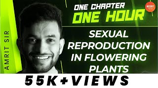 Sexual Reproduction in Flowering Plants Class 12 PYQs  CBSE Biology Chapter 1  Ekta Mam [upl. by Bogoch]