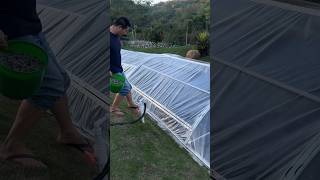 KOLAM IKAN UNIK shorts viralvideos reaction fyp [upl. by Ibrik]