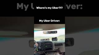 Hasbulla Drives Uber [upl. by Thierry]