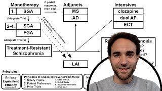 Schizophrenia Treatment Overview [upl. by Woodsum]