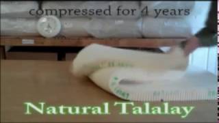 Talalay Latex Mattress vs Dunlop Latex Mattress [upl. by Essa]