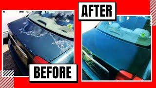 How to Repair Faded Car Paint in Simple Steps [upl. by Leahcimnhoj]