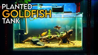 Aquascape Tutorial PLANTED GOLDFISH Aquarium How To Step By Step Guide [upl. by Felty439]