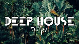 Deep House Music Mix 2024 🍓 Best Of Tropical Deep House Music Chill Out Mix 2024 🍓 Chillout Lounge [upl. by Garret633]