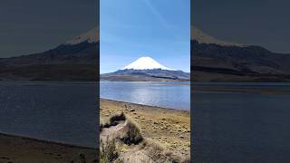 Parinacota Volcano amp Chungará Lake Lauca National Park 🇨🇱 [upl. by Ressler]