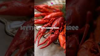 Common Crayfish Myths Busted shorts crawfish lobster ai [upl. by Ivory]