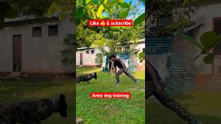 Military dog training techniques🇮🇳✅ youtubeshorts shortvideo shortsfeed germanshepherd [upl. by Imoyik]