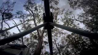 TreeTop Crazy Rider rollercoaster zip lines 1km and 330m near Sydney Australia [upl. by Keviv]