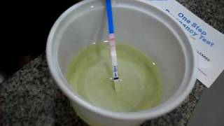 PREGNANCY TEST  PREGNANT TESTE DE GRAVIDEZ POSITIVO [upl. by Iruahs]