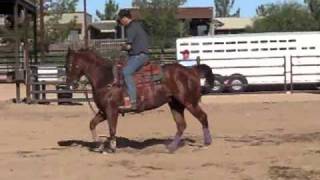 Turbo Heading  Team Roping Head amp Heel Horse by wwwshawngrantropehorsescom [upl. by Leftwich]