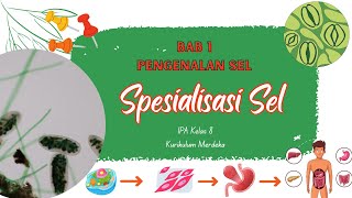 BAB 1 Pengenalan Sel  Spesialisasi Sel  Materi IPA Kelas 8 Kurikulum Merdeka [upl. by Elohcim762]