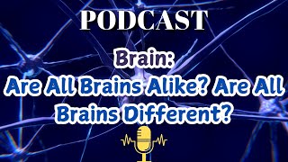 Brain Are All Brains Alike Are All Brains Different [upl. by Ahsiugal]