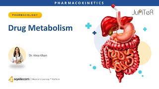 Drug Metabolism  Pharmacokinetics  Medical Online Education  VLearning™  sqadiacom [upl. by Akcirred]