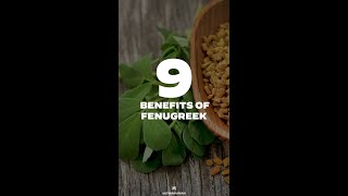 What is Fenugreek Top 9 Benefits [upl. by Neih]