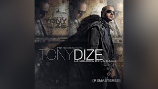 Tony Dize  Permitame feat Yandel [upl. by Yznil]