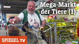 MegaMarkt der Tiere 1 Nachschub für die Aquaristik  SPIEGEL TV [upl. by Sitelc]