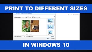 How to Print Photos in Different Sizes in Windows 10 [upl. by Gerger]