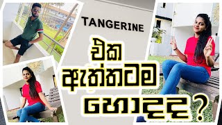 Tangerine Beach hotel Kalutara  ඇත්තටම හොදද​​ SRI LANKA HOTEL TRAVELLING [upl. by Paradies390]