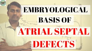 EMBRYOLOGICAL BASIS OF ATRIAL SEPTAL DEFECT II ASD II DEVELOPMENT OF INTERATRIAL SEPTUM [upl. by Zechariah876]