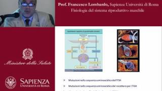 Fisiologia del sistema riproduttivo maschile [upl. by Ahsened899]