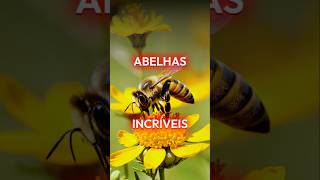 🐝✨ Abelhas Inteligentes Surpreendente Habilidade 🐝abelhas inteligênciaanimal curiosidadesanimais [upl. by Naloc]