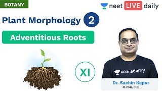 Plant Morphology  L2  Adventitious Roots  Class 11  Unacademy NEET  Botany  Sachin Sir [upl. by Dnalor]