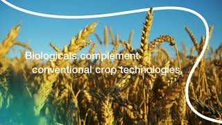 Syngenta Biologicals Corporate Video Connecting Science with Nature Source [upl. by Trakas]