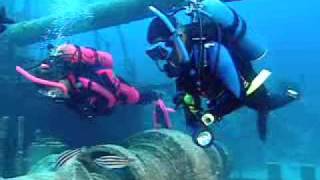 PADI Scuba Diving Lessons PADI Wreck Diver Course [upl. by Aidnic]